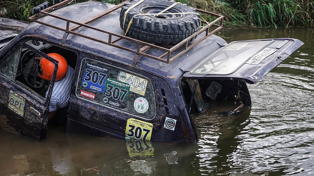 期待更好的 期待更好的