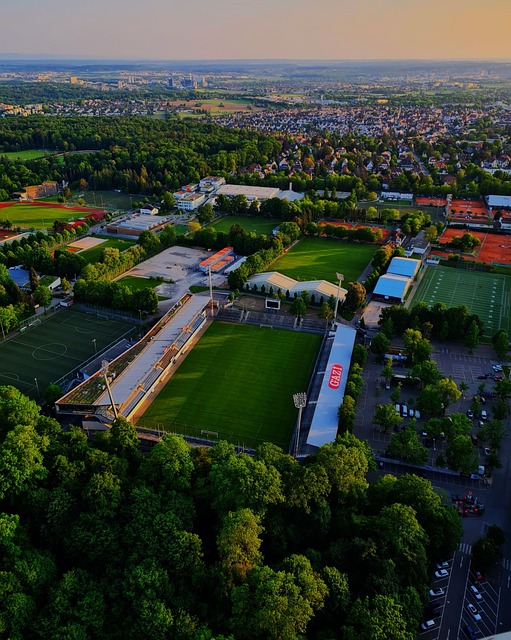 端的表现也 端的表现也