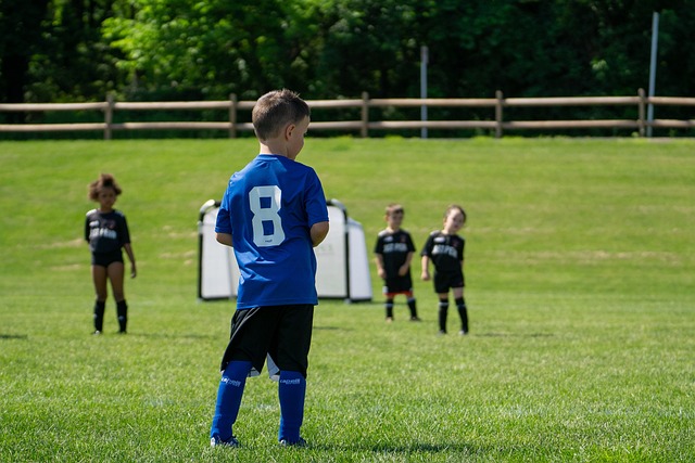 湖人队的表 湖人队的表