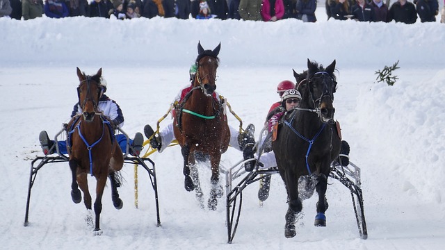 是莫兰特的 是莫兰特的